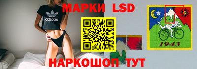 крисы Малгобек