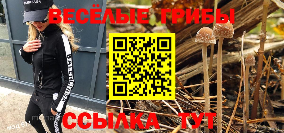 сколько стоит  Псилоцибиновые грибы Psilocybe  Вход с VPN  Галлюциногенные грибы MAGIC MUSHROOMS  Торжок 