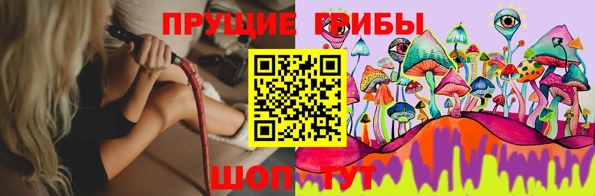 Галлюциногенные грибы Magic Shrooms Торжок